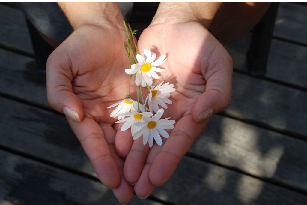 Chia Sẻ Một Bữa Ăn – Gửi Gắm Một Tấm Lòng